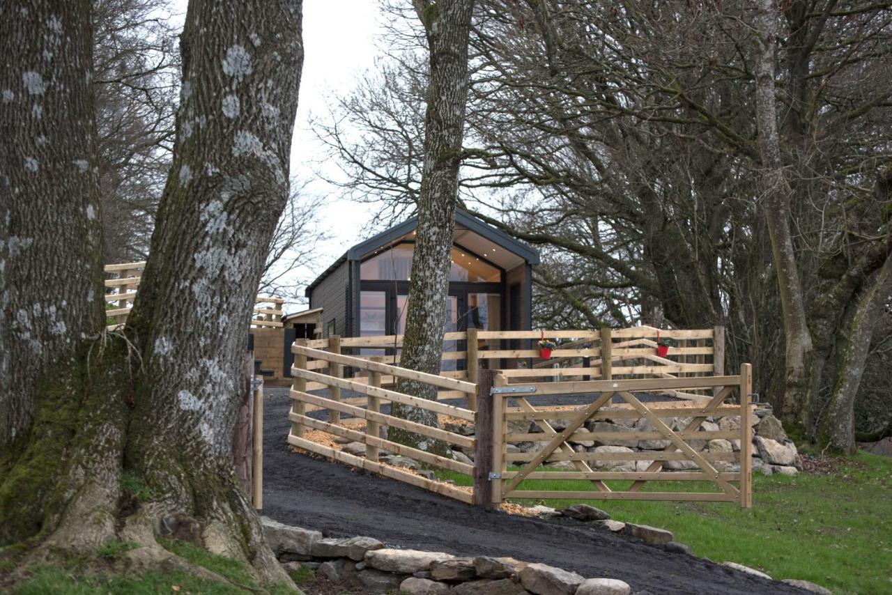 Holiday home Woodland Escape